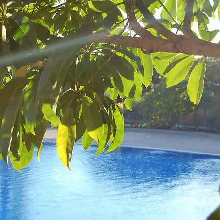 Apartment El Medano. Paradise. *