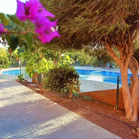 Apartment El Medano. Paradise.